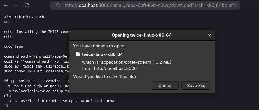 The download endpoint in action