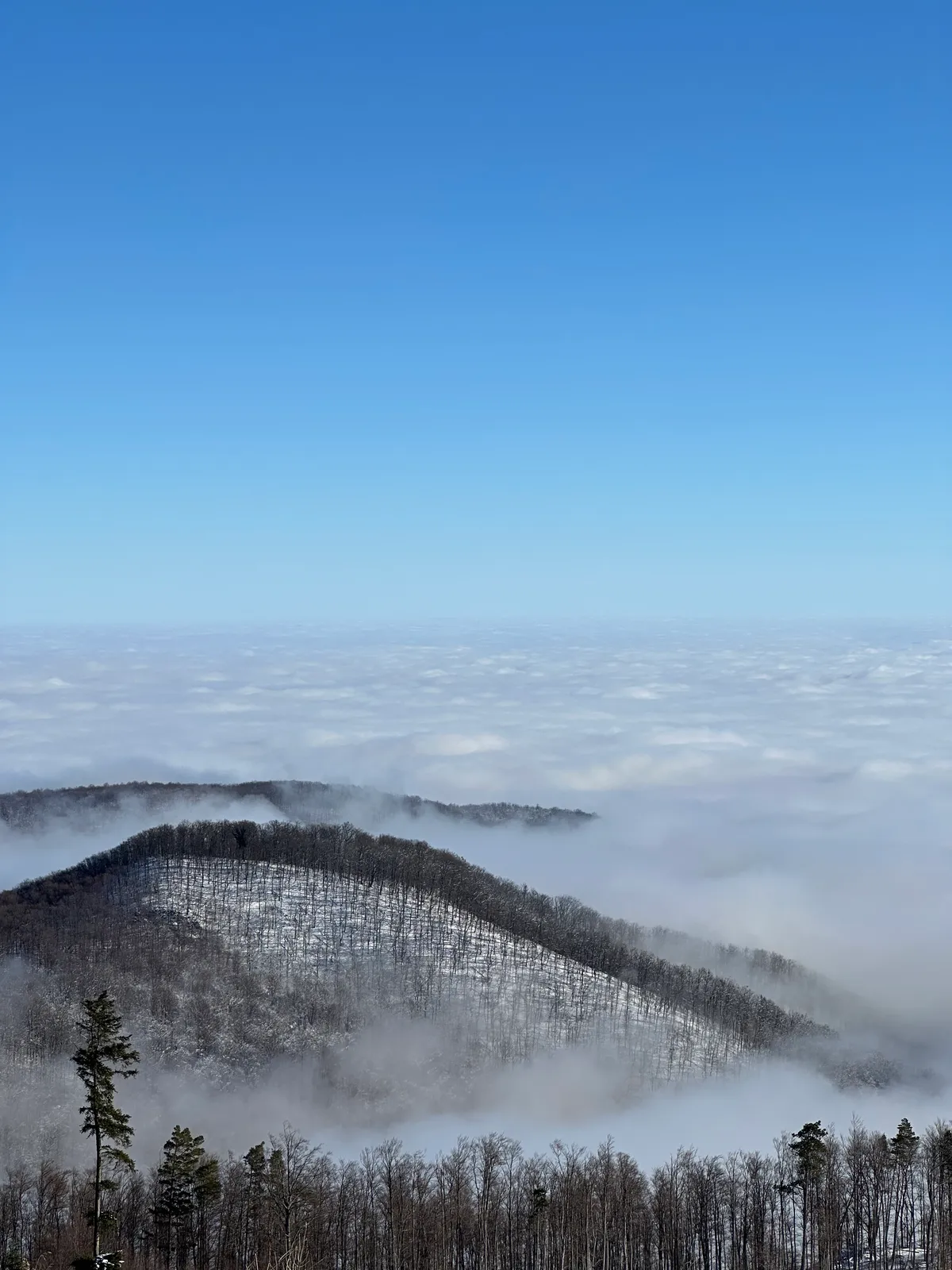 Zagreb, as seen from Sljeme, covered with clouds