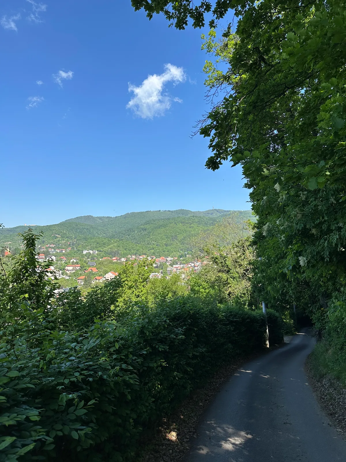 A winding road on the way to Medvednica