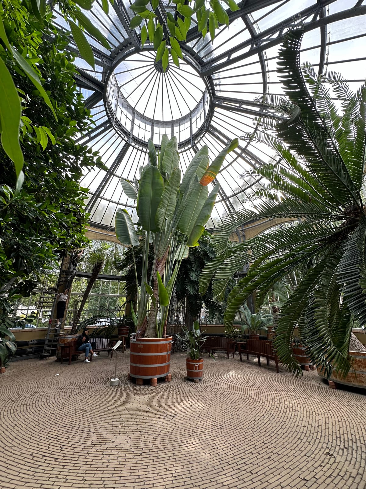 A glass house at the De Hortis