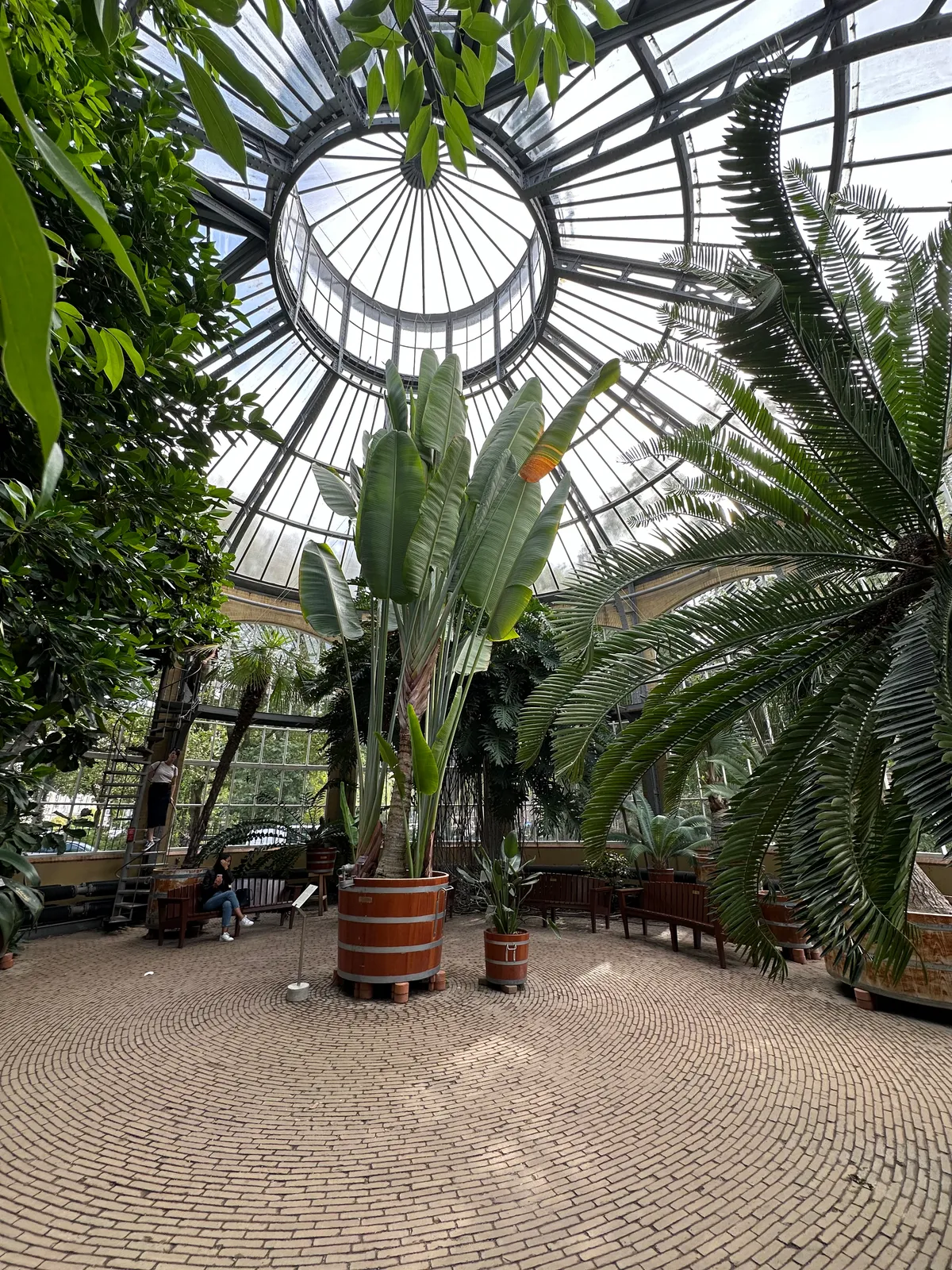 A glass house at the De Hortis