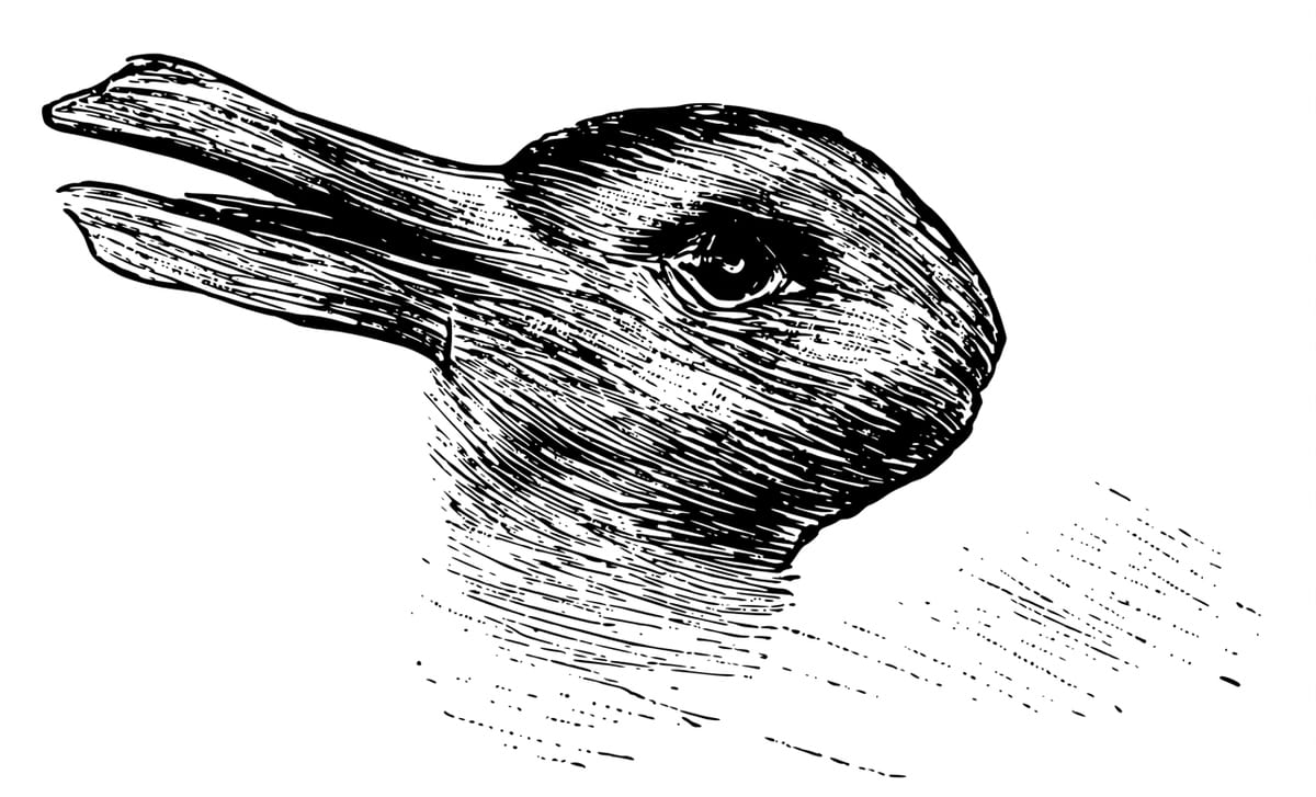 Optical illusion that sometimes looks like a rabbit and sometimes like a duck (well, bird)