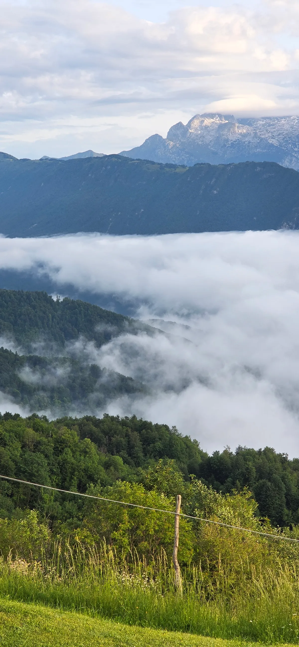 Fog creeping in on the hillside