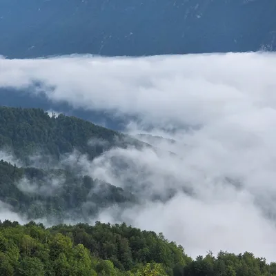 Fog creeping in on the hillside