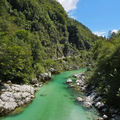 Soča
