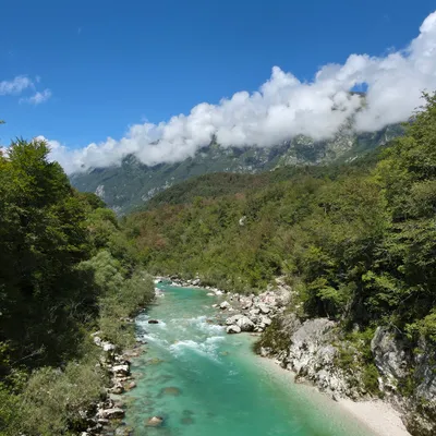 Soča